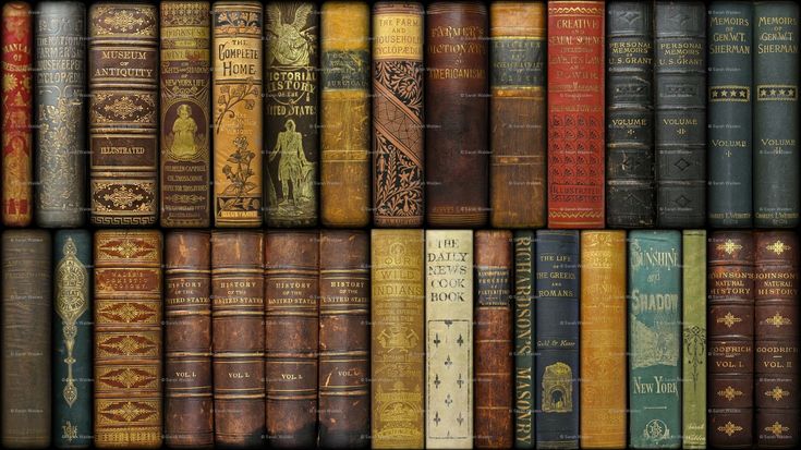 Pourquoi racontons-nous des histoires ? image livre